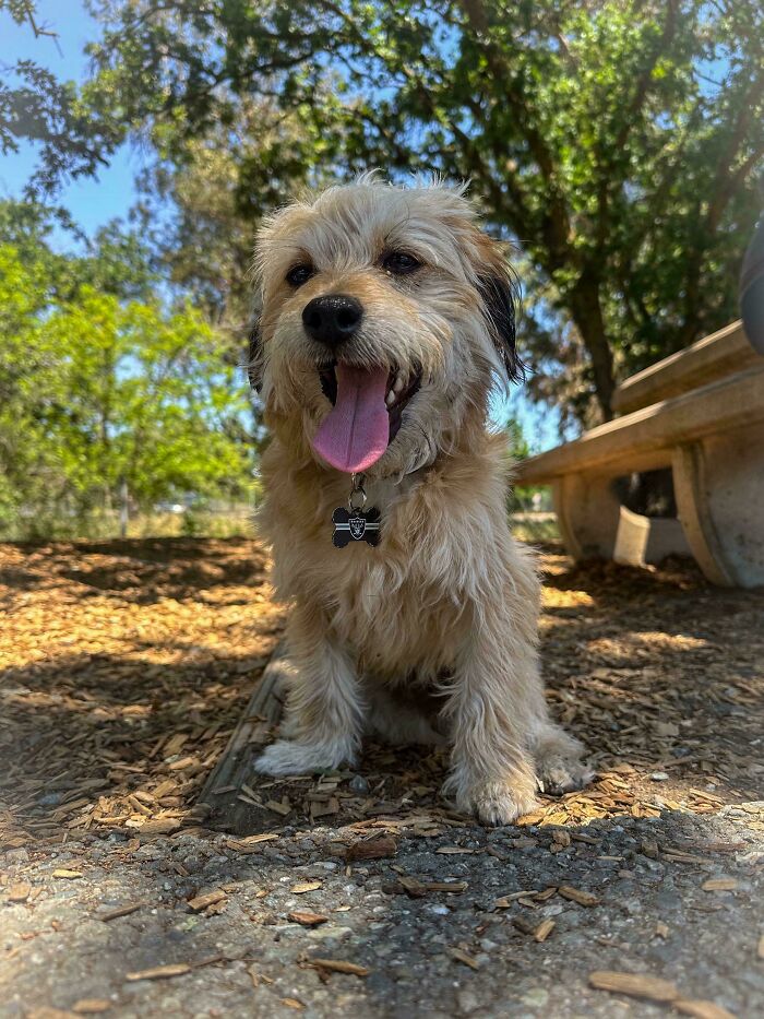 Recently Adopted My New Best Buddy, Freddie!