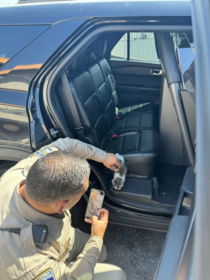 Found This Baby In The Carpool Lane The Other Day