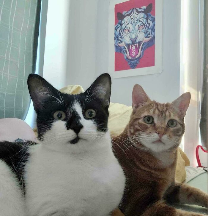 My Grandchildren, No One Wanted Them. One Is Wobbly The Other Has Epilepsy. My Kind Son And His Gentle Fiancée Adopted Them. They Are Pure Joy!