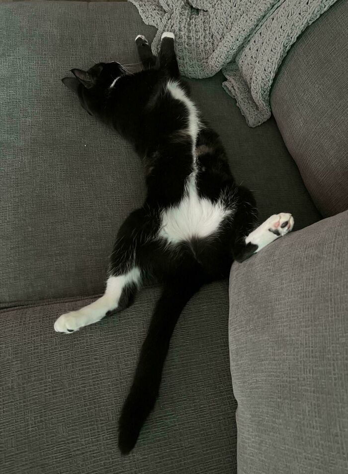 Adopted Barely Six Hours Ago