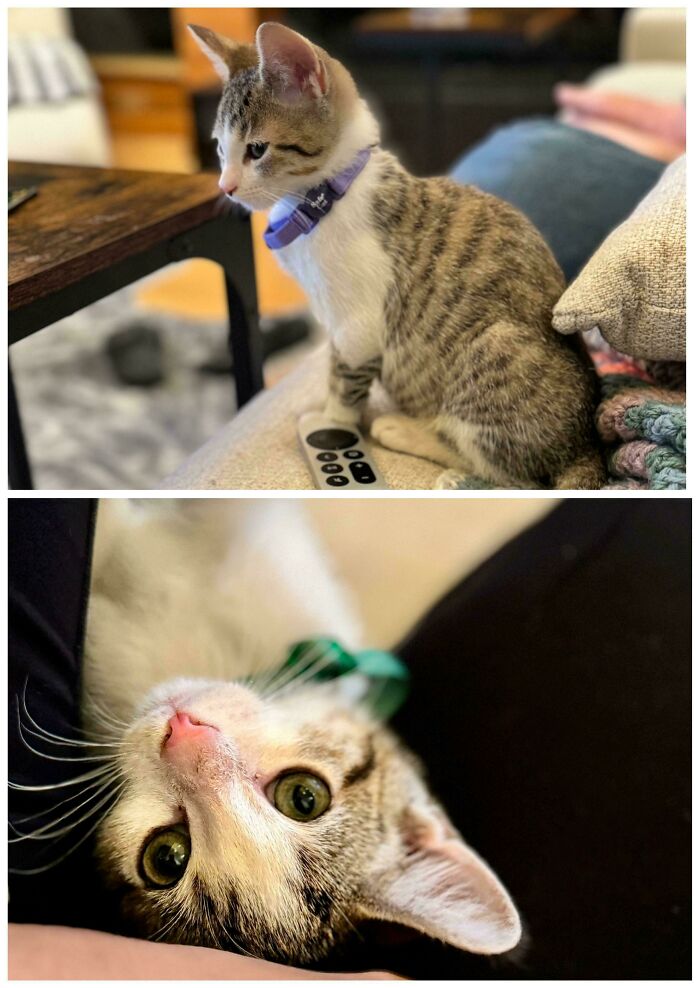 Just Adopted These Two Boys Today!