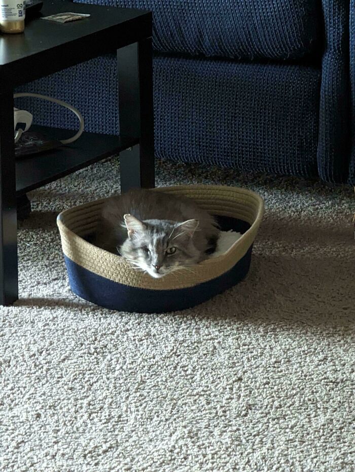 I Just Wanted To Share My New Buddy I Just Adopted