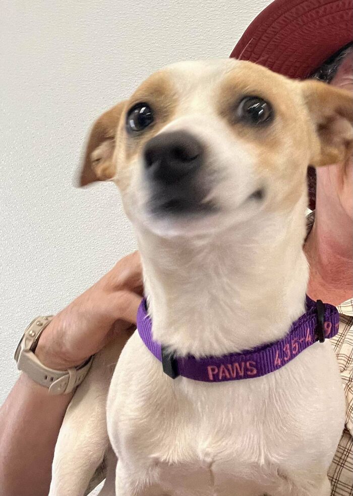 Keep Or Change His Name?