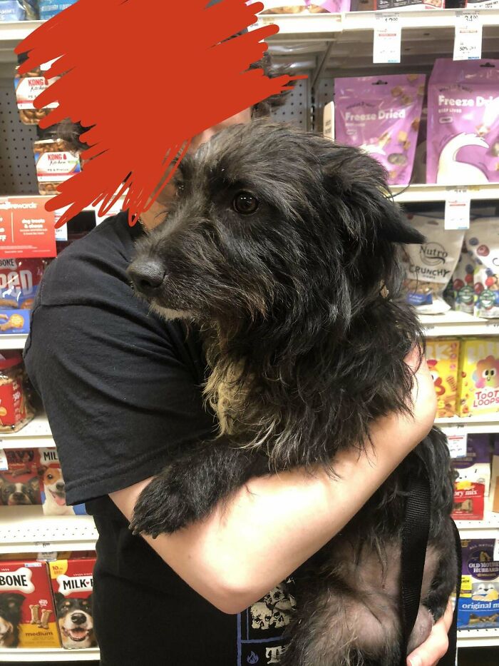 Just Adopted This Three Legged Wonder, What Breed Do You Guys Think He Is?