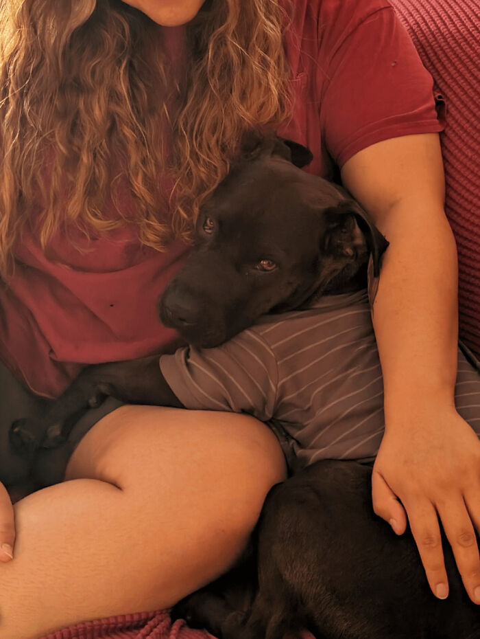 One Week After Getting Adopted, I Think He's Adjusting Well