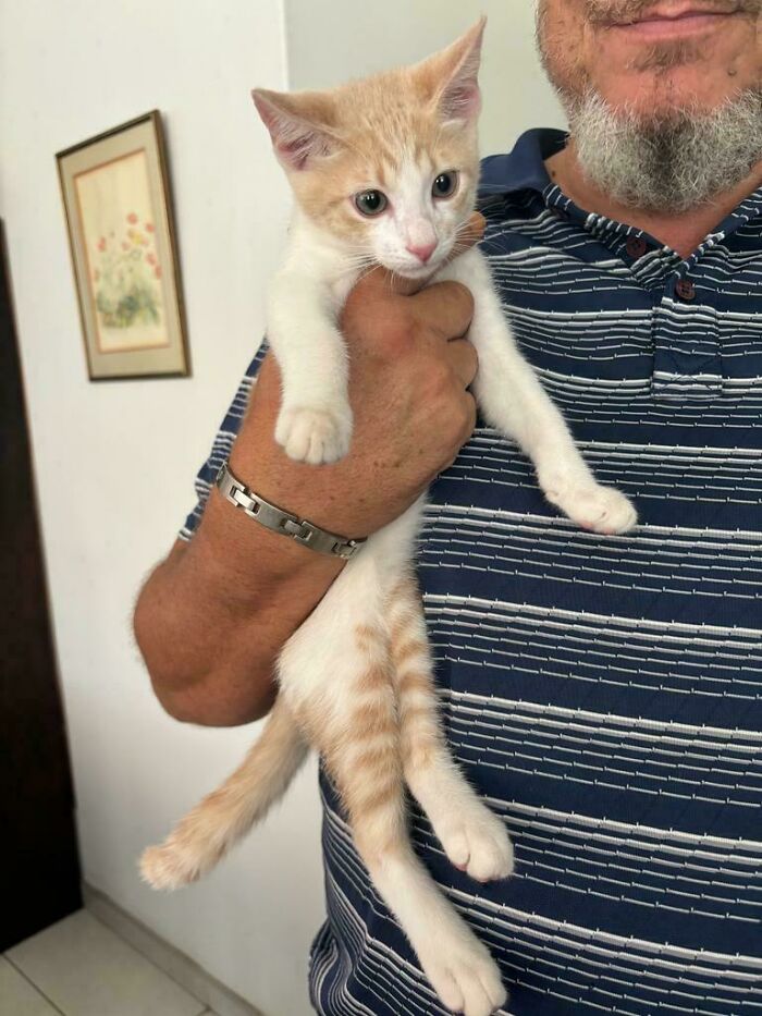 I'm Adopting This Beautiful Girl In A Few Days, Can't Wait! Any Name Ideas Would Be Appreciated!