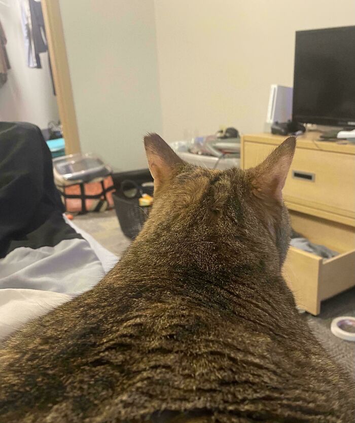 After Only 2 Days And One Night Together, She’s Comfortable Enough To Lay Next To Me!