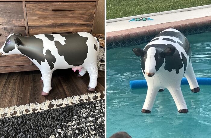 This Inflatable Cow Toy Is The Udderly Delightful Summer Must-Have You Have Been Looking For