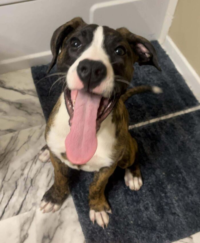 The Moment You Realize You’re Adopted! 