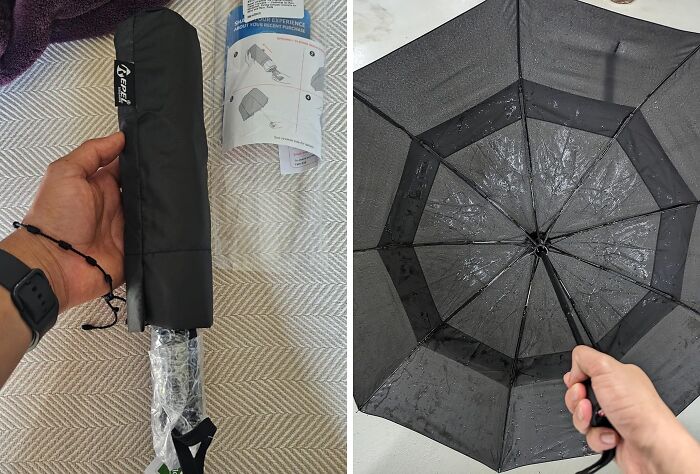 Conquer Any Storm With The Unwavering Strength Of A 