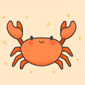 melissapresley avatar