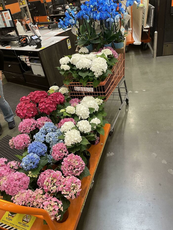 Una monja devuelve 800 dólares en flores todos los días. Tenemos una monja que compra flores para los eventos de la iglesia según el color que necesiten. Es un ciclo sin fin. ¡Sucede todos los días!