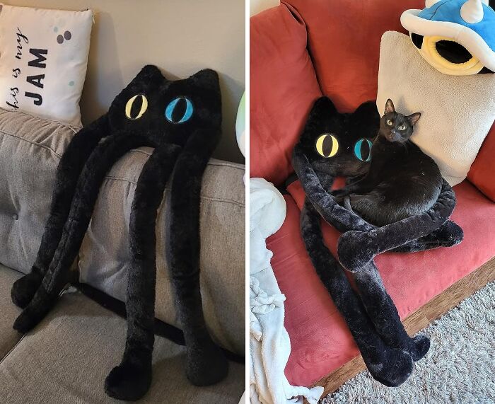 Plush toy with cat-like features on a sofa, next to a similar-looking real black cat.