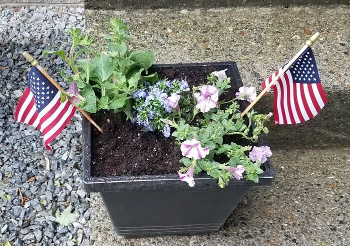 Small backyard planter with blooming flowers and two American flags, perfect for July 4th parties decoration.