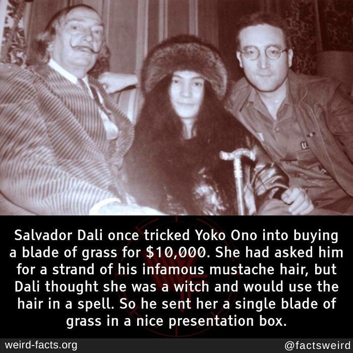 Three people sitting together indoors, with text about a weird fact involving Salvador Dali selling a blade of grass.