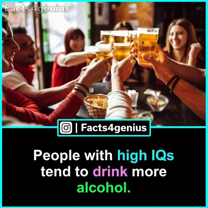 Group of friends clinking beer glasses at a bar, highlighting interesting facts for genius discussions.