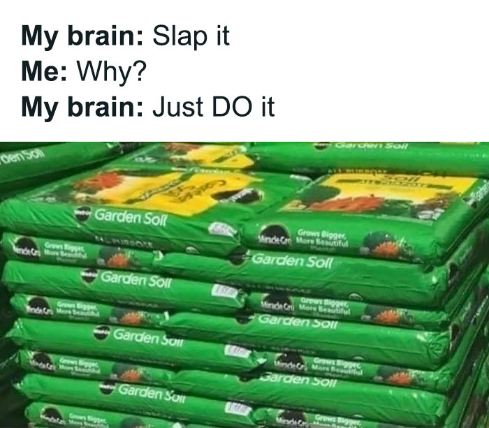 Hilarious meme with text about impulsive actions, showing stacked bags of garden soil.