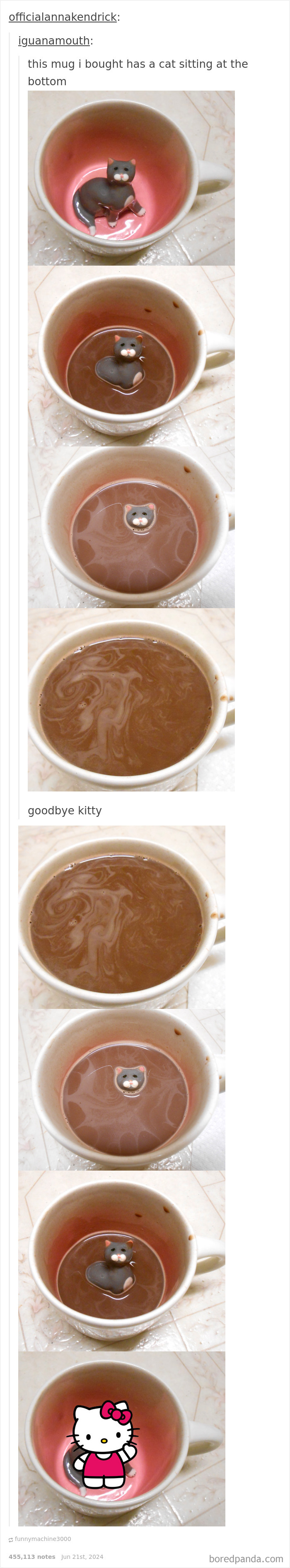 Ceramic mug with a hidden cat figure revealed as the drink is consumed, a funny reply visual for humor content.