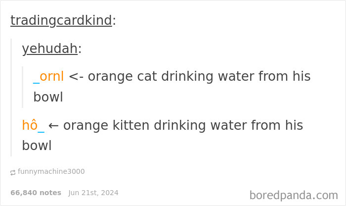 Text post showing a funny reply involving orange cat and kitten drinking water, highlighting funnier replies than original.