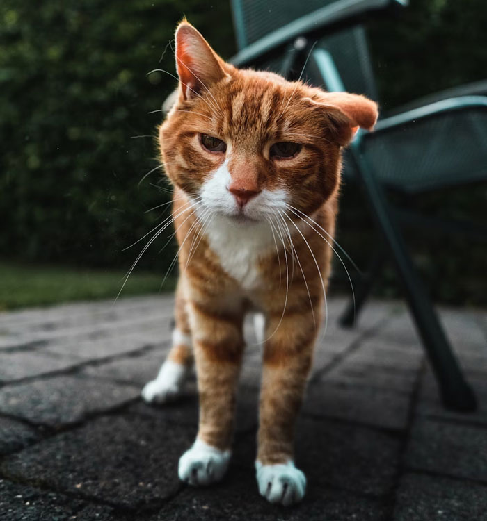 30 Secrets These People Make Sure Their Parents Will Never Know