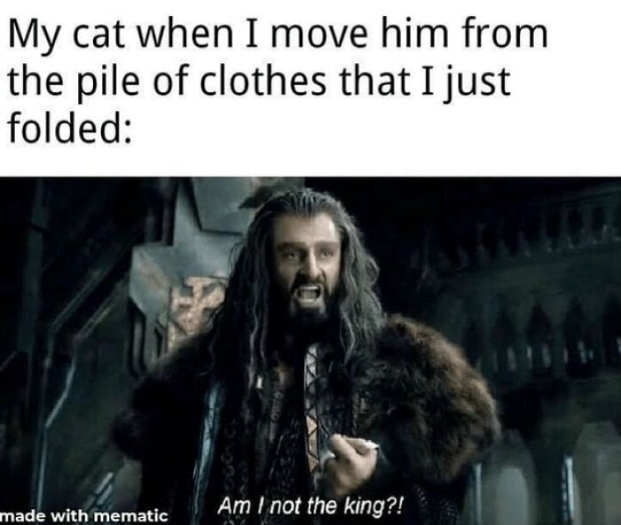Funny-Lotr-Memes