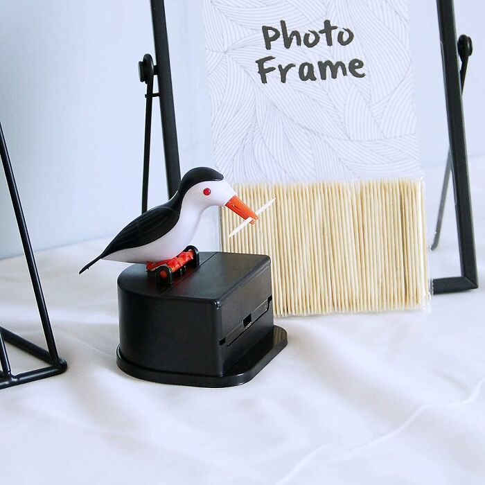 Black bird-shaped toothpick dispenser next to photo frame and toothpicks, one of the genius Amazon finds solving everyday problems.