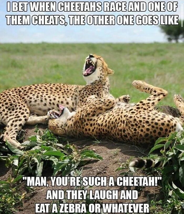 Funny-Parent-Jokes-Puns