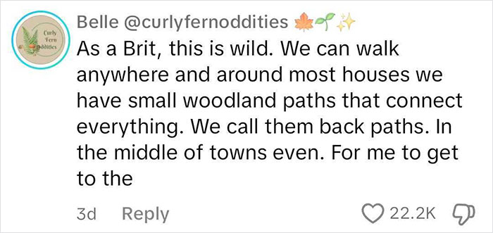 "Give Me Walkable Cities": Guy Shares How Messed Up American Cities Are