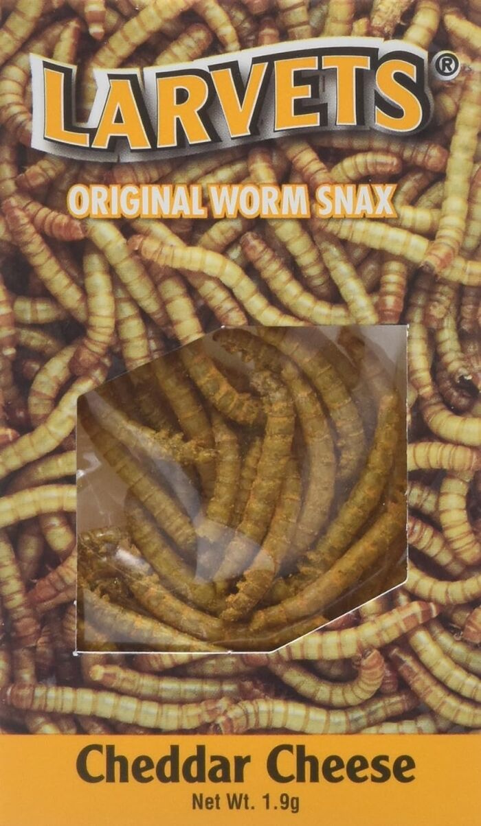 If You Have Grown Tired Of Cheetos, Larvets Cheddar Cheese Flavor Are The Obvious Next Step