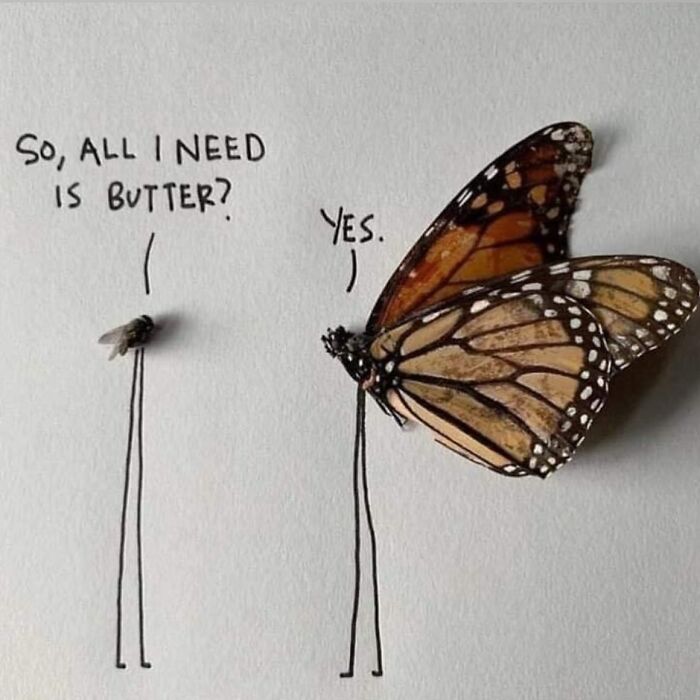 Funny-Parent-Jokes-Puns