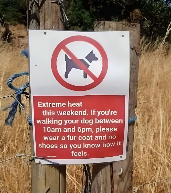 50 Hilarious New Pics In The “Give Me A Sign” Facebook Group’s Collection