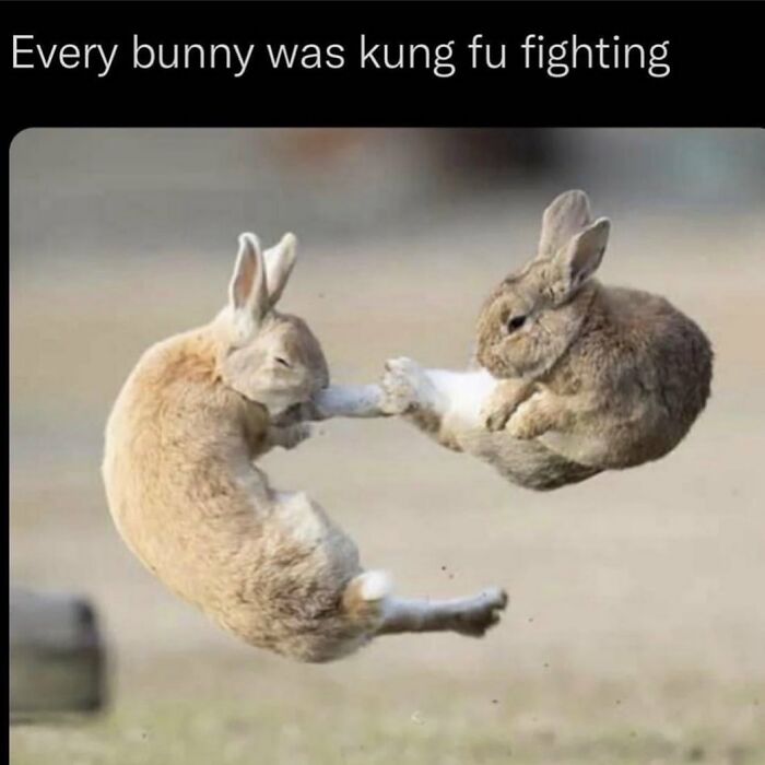 Funny-Parent-Jokes-Puns