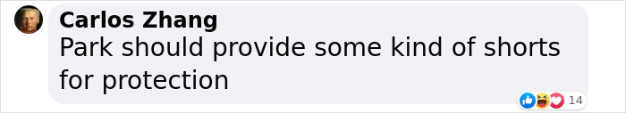 Comment by Carlos Zhang suggesting park should provide protective shorts for thrill-seeking diver on extreme waterslide.