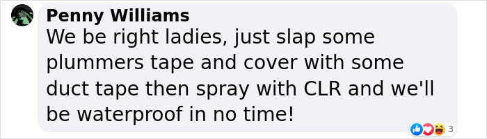 Comment by Penny Williams suggesting using plummers tape, duct tape, and CLR spray for waterproofing, related to thrill-seeking diver ignoring strict ban for women.