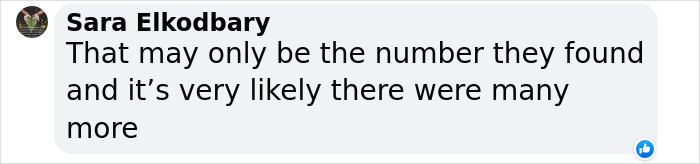 New DNA Evidence Sheds Light On How The Maya Chose Victims For Human Sacrifices