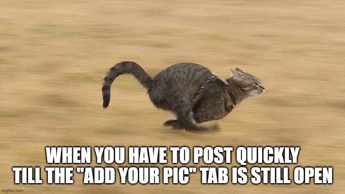 Let Ruin This Tour As Fast As Possible !