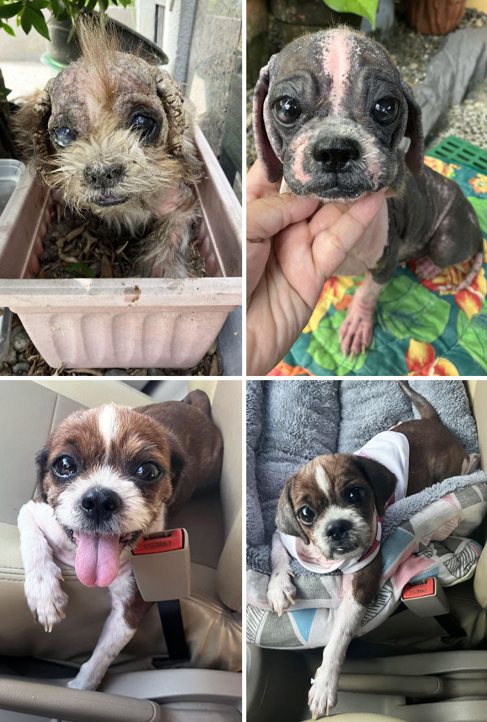 With Love And Care, Everything Damaged Can Be Healed