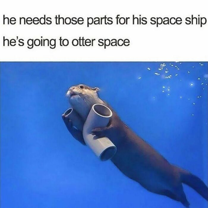 Funny-Parent-Jokes-Puns