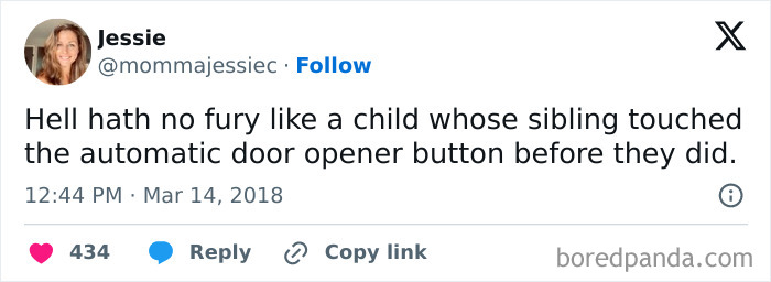 Things-Siblings-Fight-Over