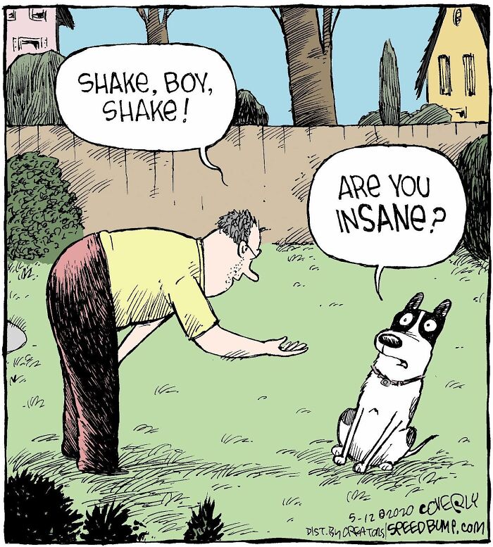 Man in backyard telling a dog to shake while the dog questions if he is insane in a Speed Bump comic.