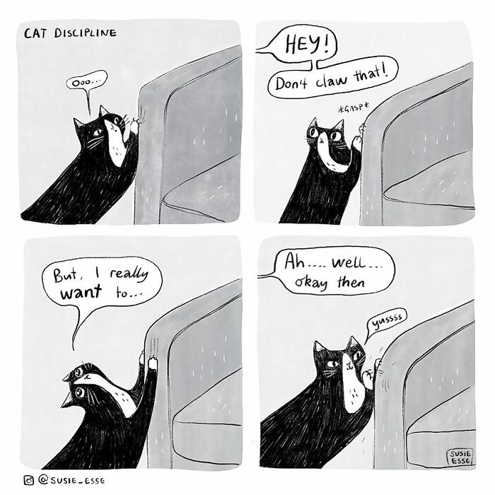 Comics-Everyday-Life-Thoughts-Susie-Esse