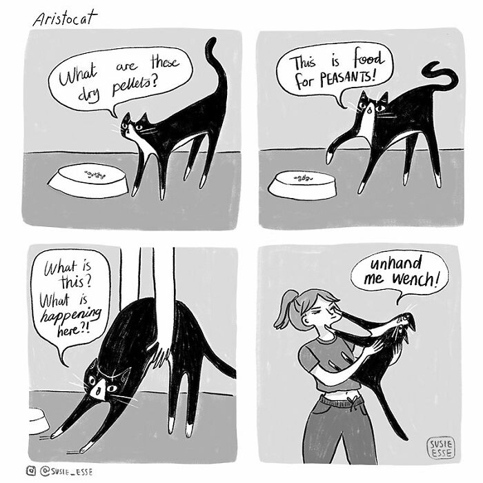 Comics-Everyday-Life-Thoughts-Susie-Esse