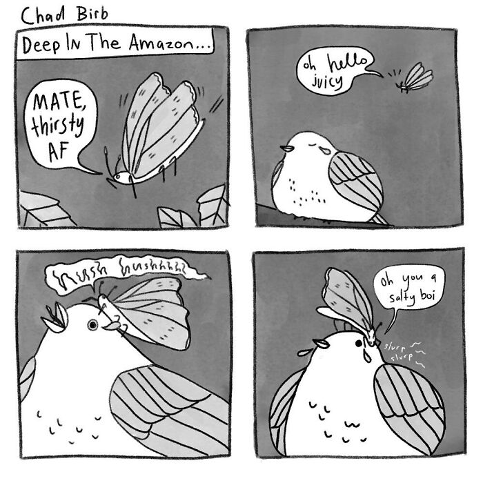 Comics-Everyday-Life-Thoughts-Susie-Esse