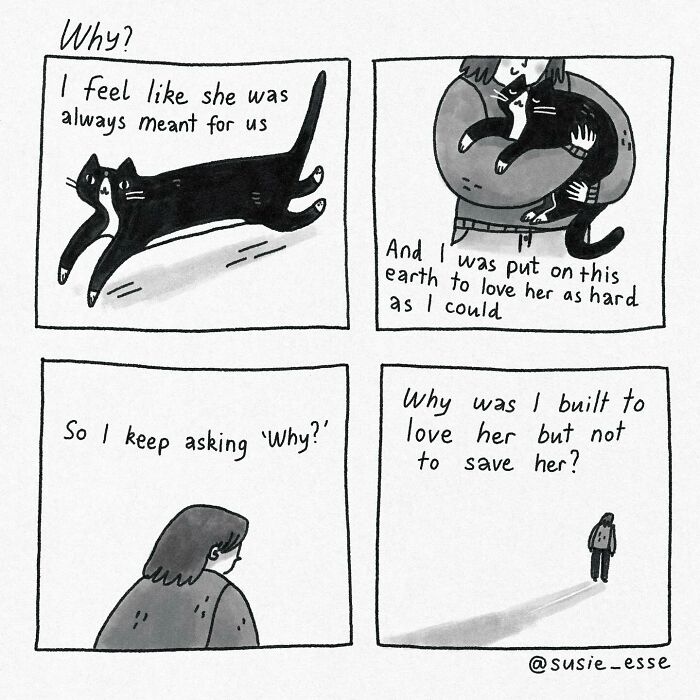 Comics-Everyday-Life-Thoughts-Susie-Esse
