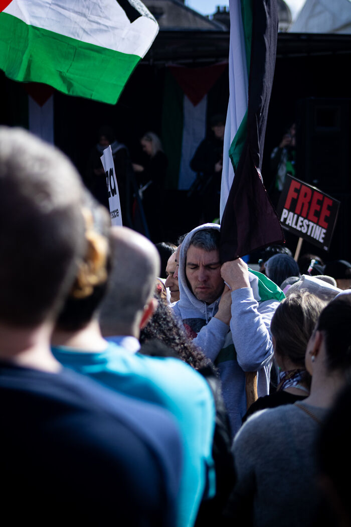 " All The Noise" By Moses Harris