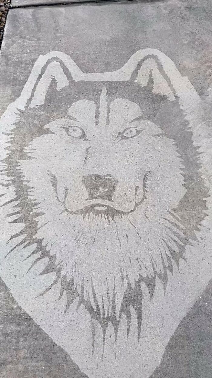 Artist Creates Works Of Art Using A Pressure Washer (26 Pics)(Interview)