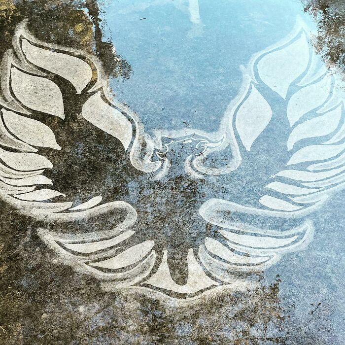 Artist Creates Works Of Art Using A Pressure Washer (26 Pics)(Interview)