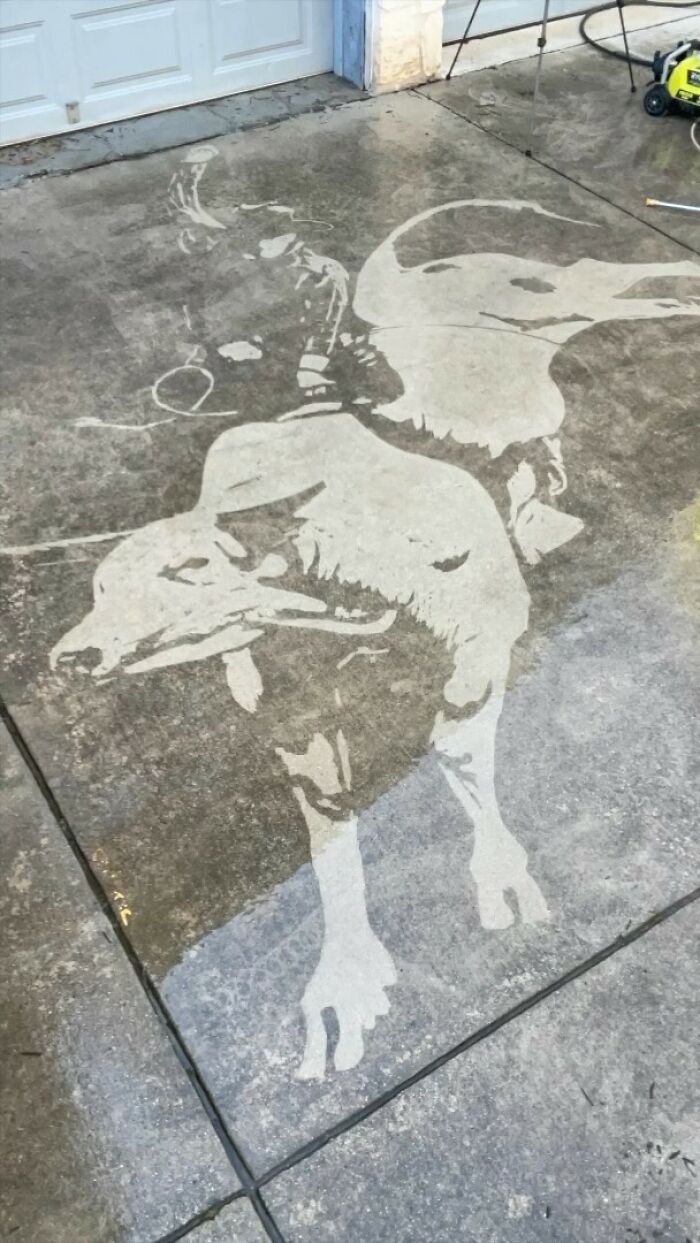 Artist Creates Works Of Art Using A Pressure Washer (26 Pics)(Interview)