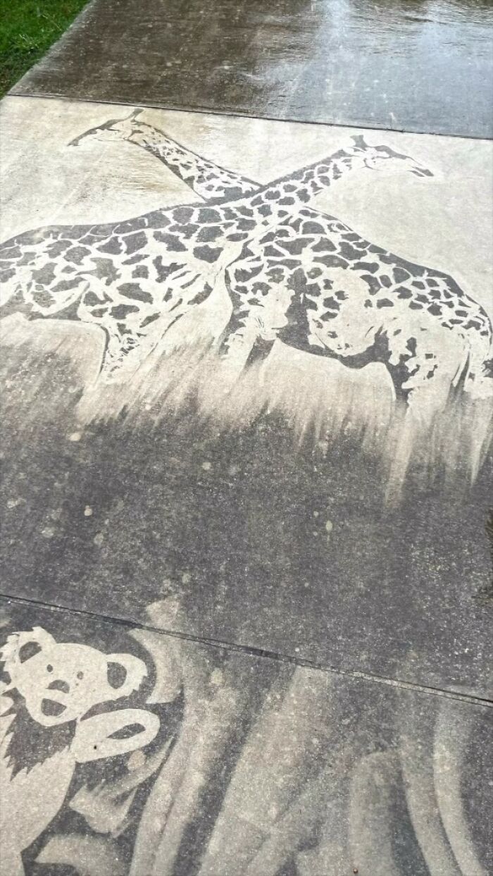 Artist Creates Works Of Art Using A Pressure Washer (26 Pics)(Interview)