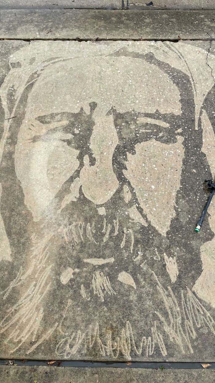 Artist Creates Works Of Art Using A Pressure Washer (26 Pics)(Interview)